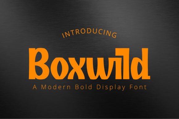 Boxwild: Elevating Visual Identity with a Steady and Stunning Display Font
