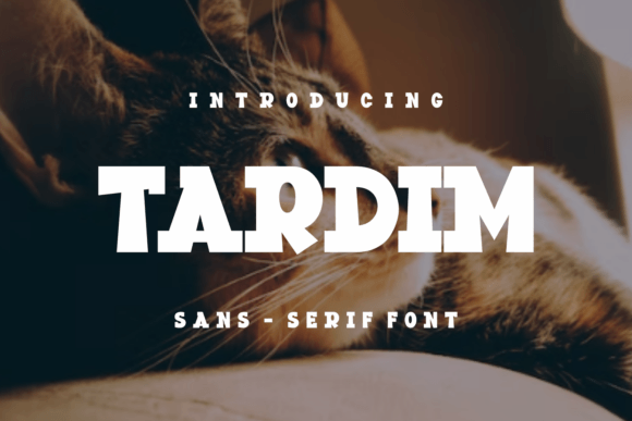 Tardim: A Bold Display Font for Modern Design