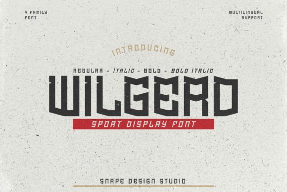 Wilgerd: Bold Typography for Sports Brands